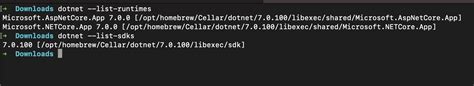 dotnet 6 install|brew install dotnet 6.